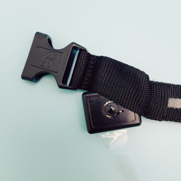 Светящийся ошейник для собак (3 режима) Glowing Dog Collar Черный